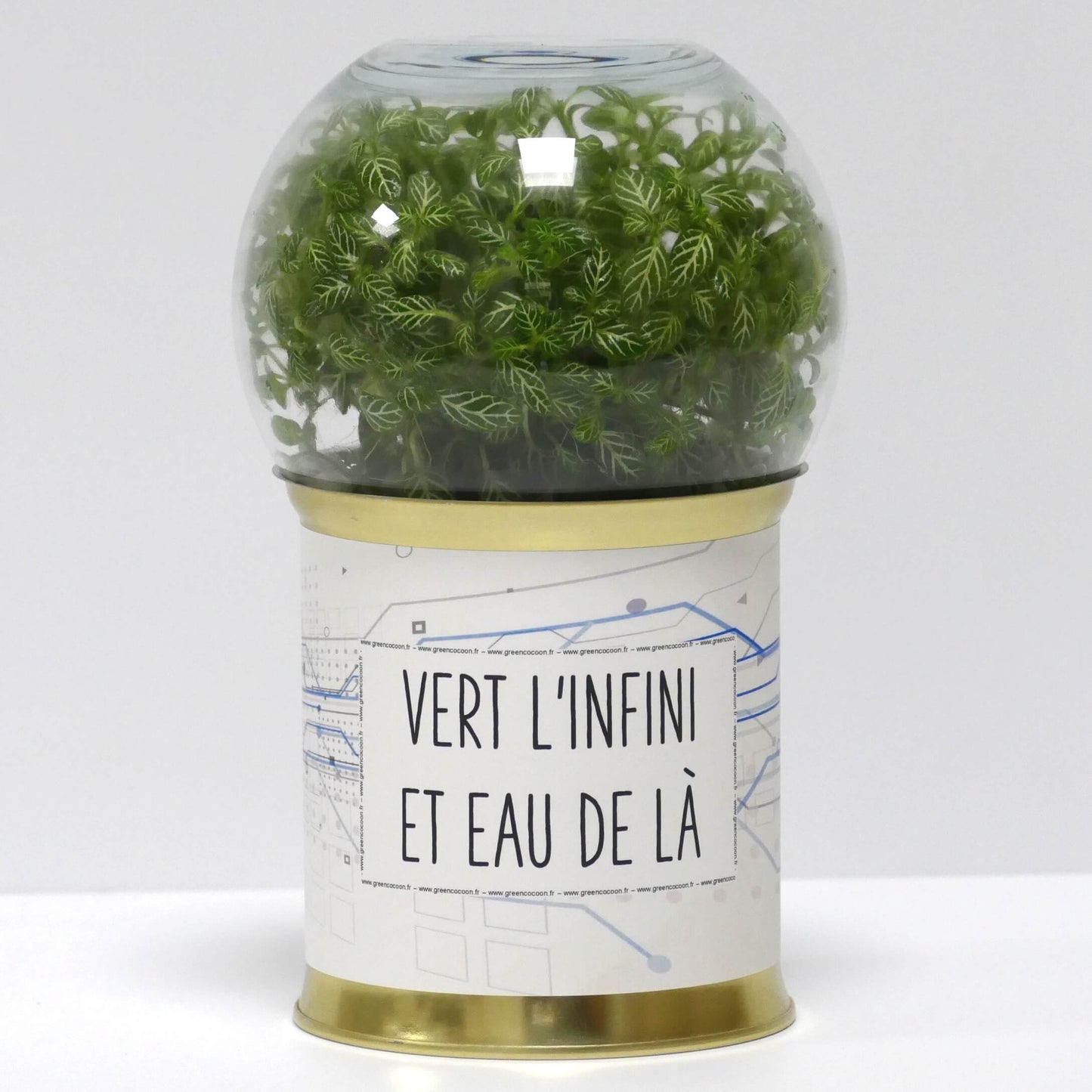 Terrarium Vert l'infini et eau de là