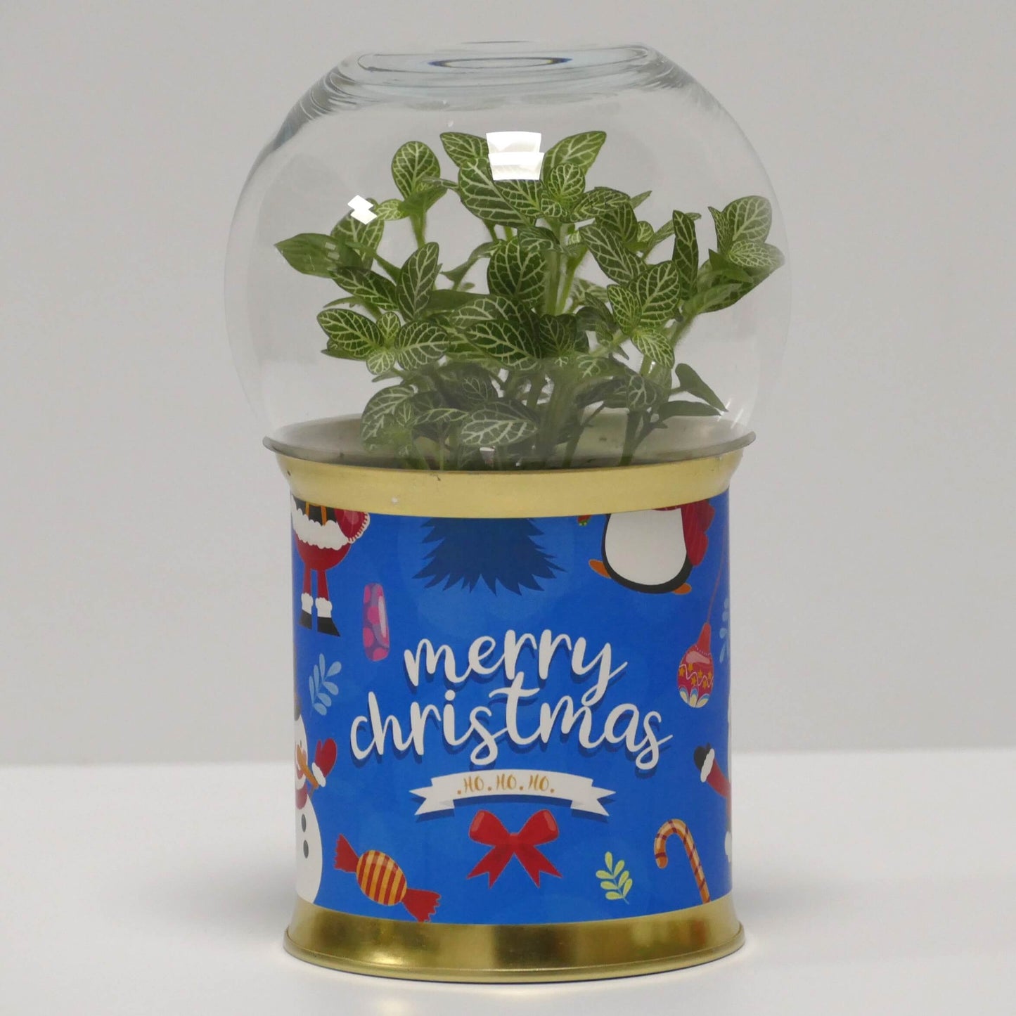 Terrarium Merry Christmas