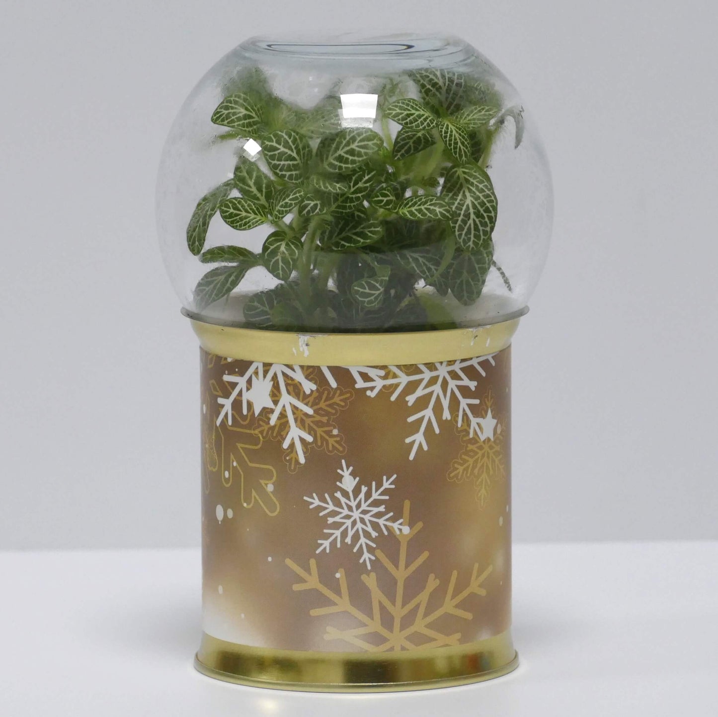 Terrarium Noël 2