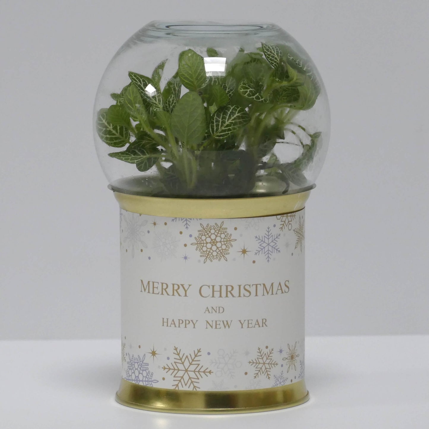 Terrarium Merry Christmas 2