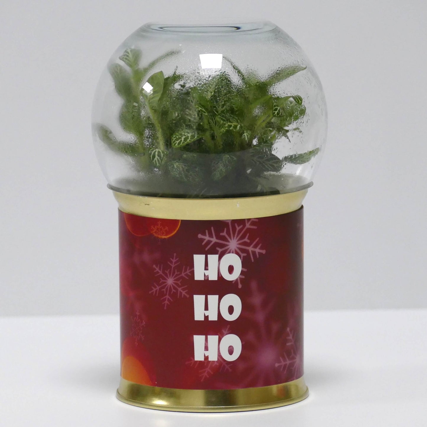 Terrarium Ho Ho Ho