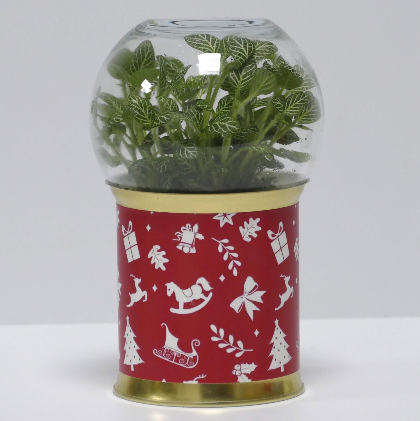 Terrarium Noël
