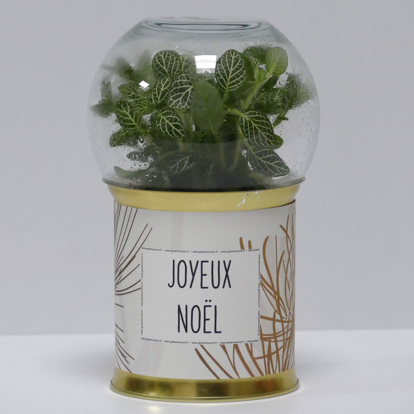 Terrarium Joyeux Noël