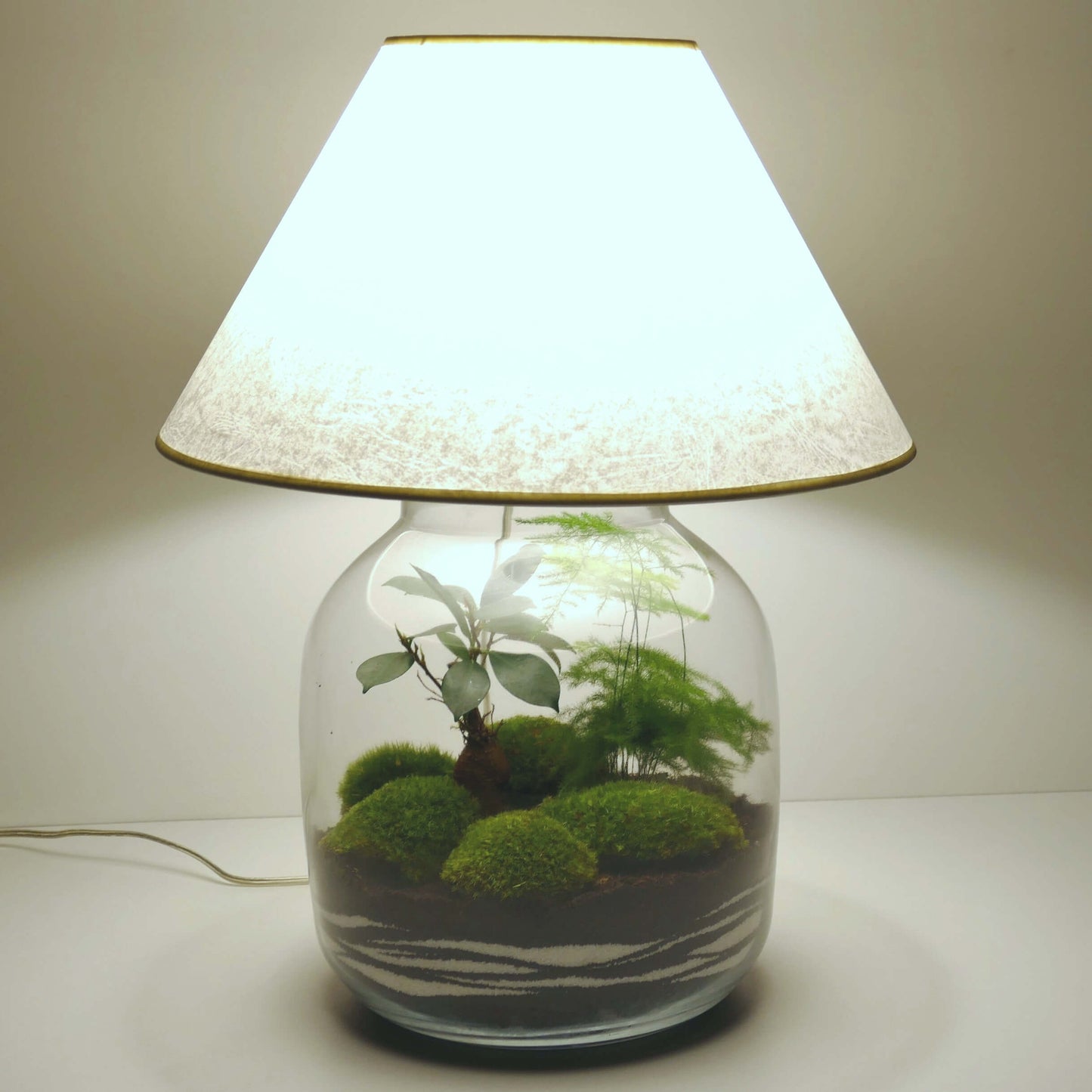 Lampe terrarium vase bonbonne XL