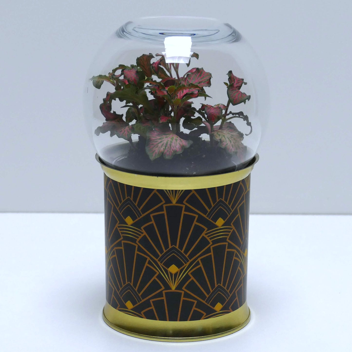 Terrarium art déco noir et doré 1