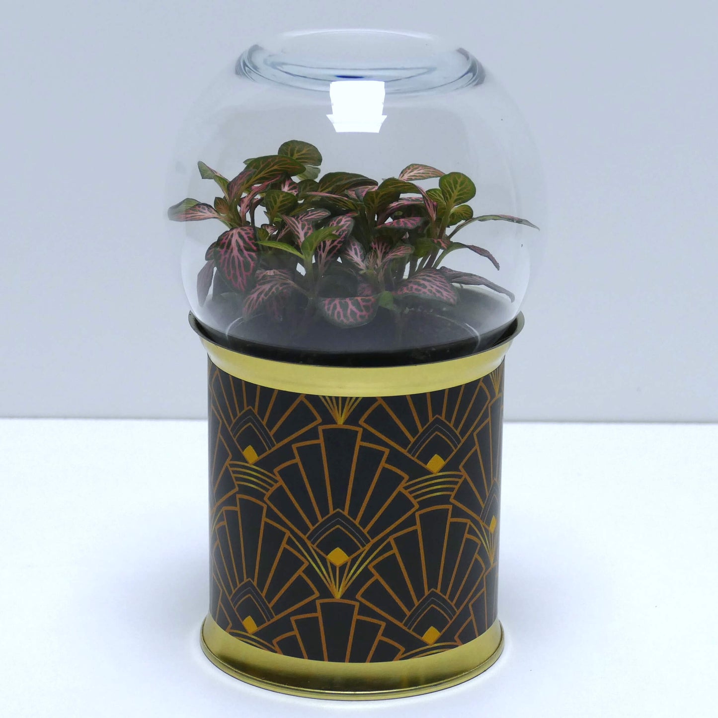 Terrarium art déco noir et doré 1