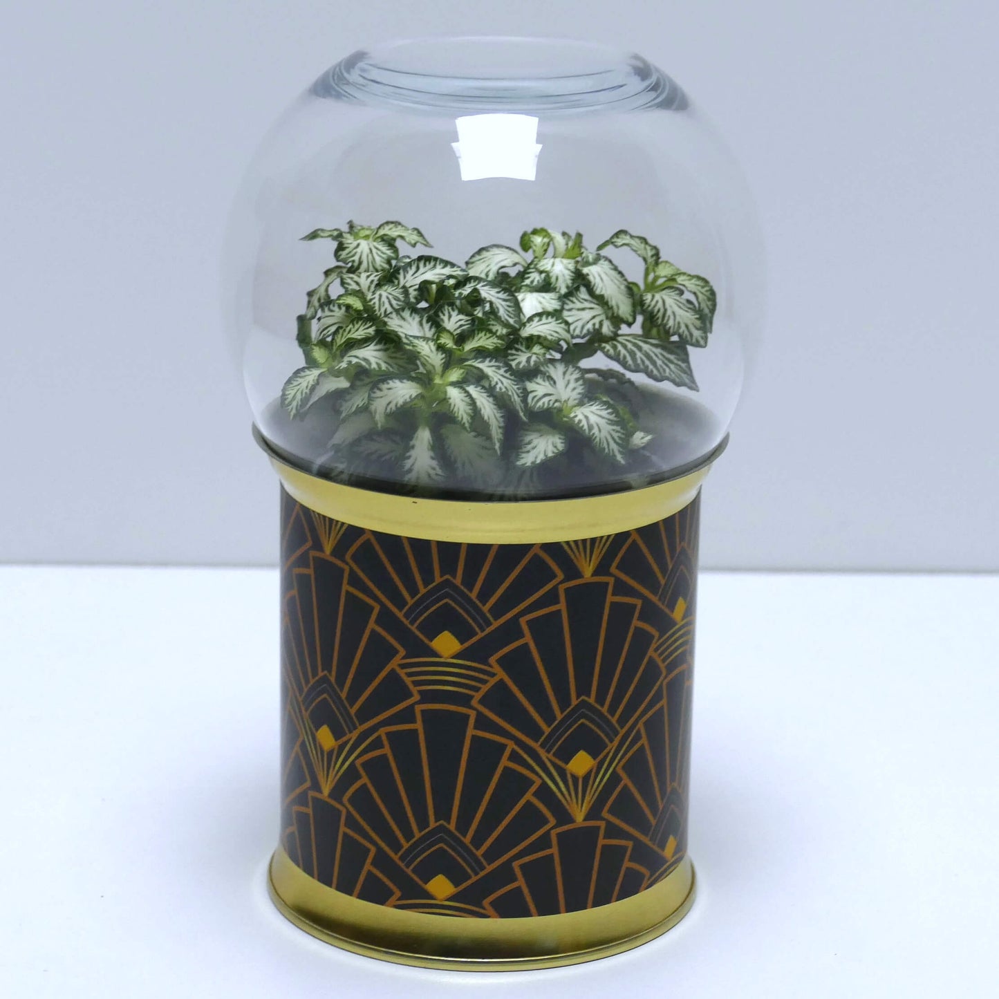 Terrarium art déco noir et doré 1