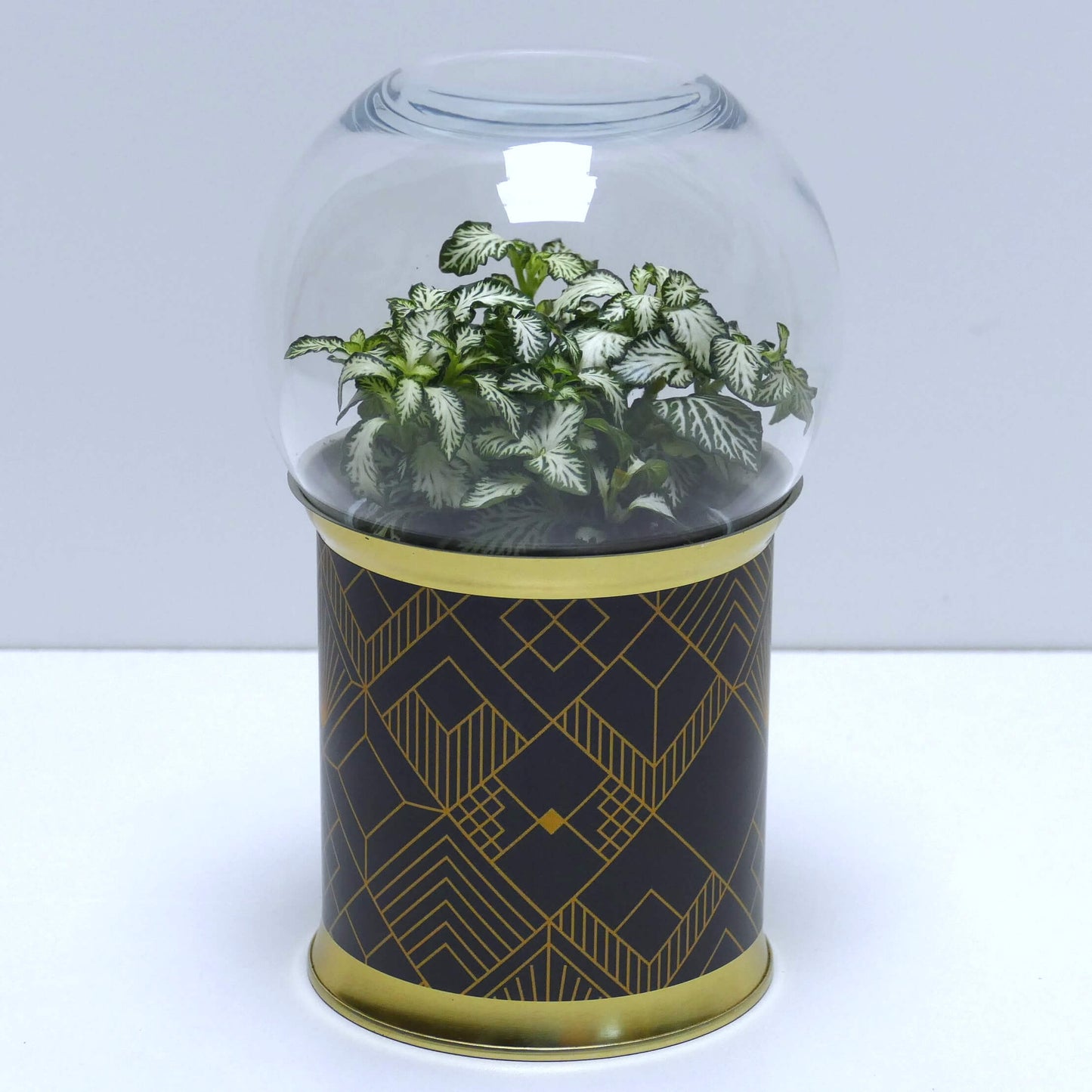 Terrarium art déco noir et doré 3