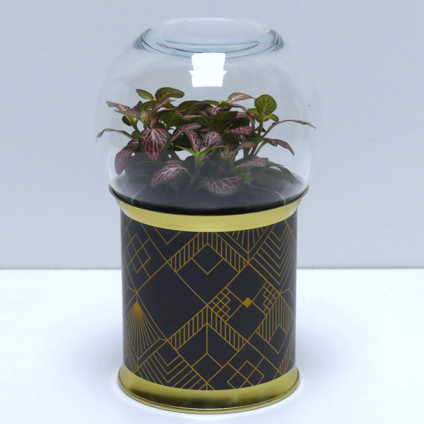 Terrarium art déco noir et doré 3