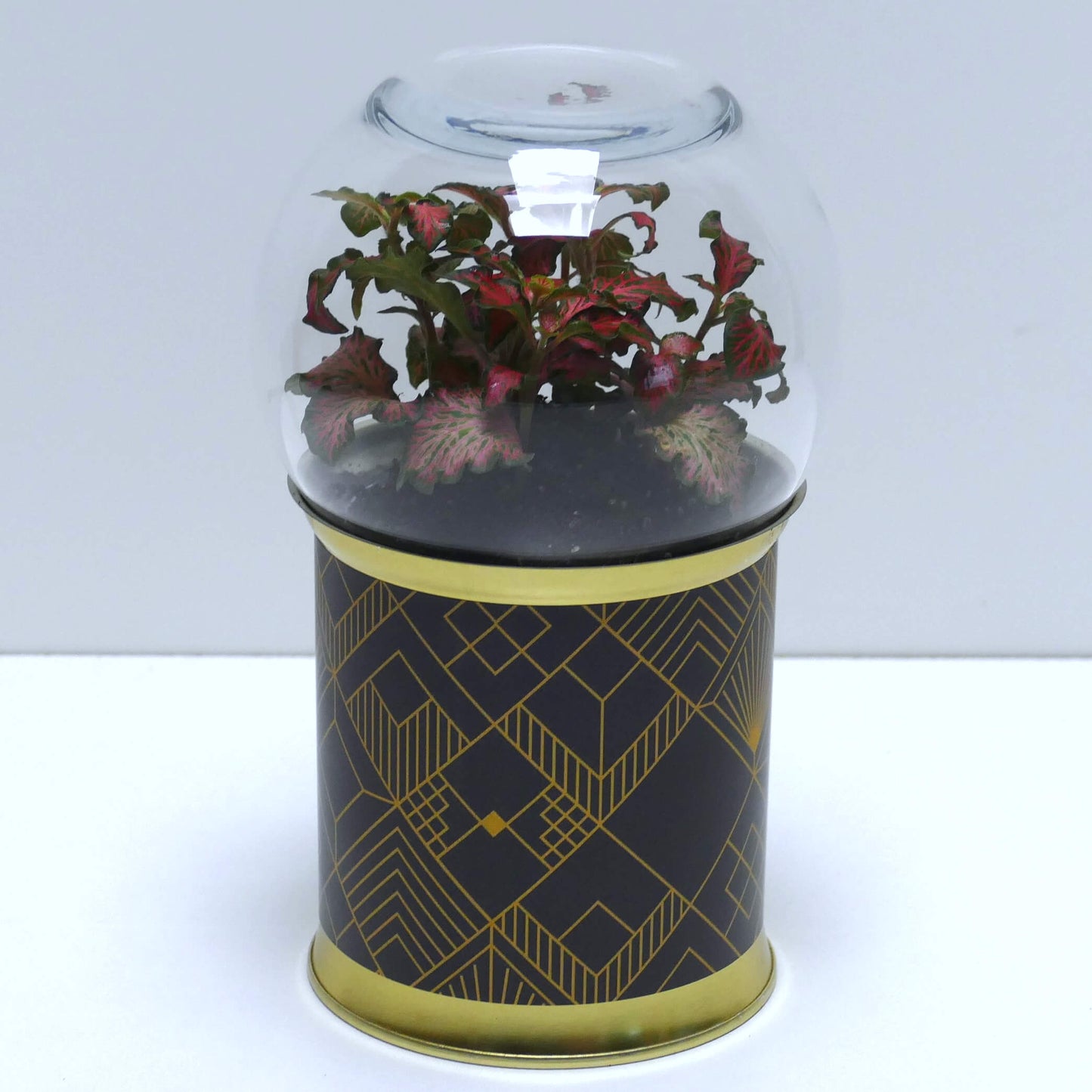 Terrarium art déco noir et doré 3