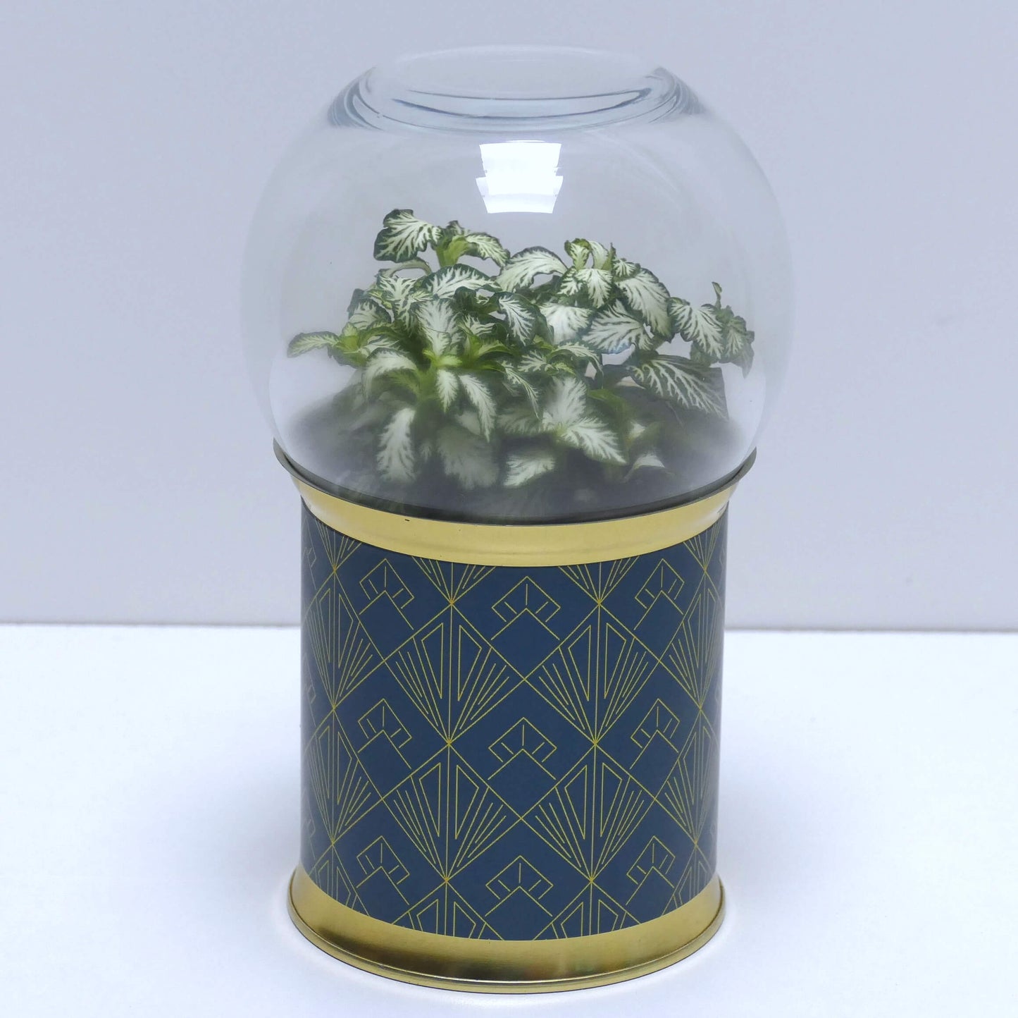 Terrarium art déco vert foncé