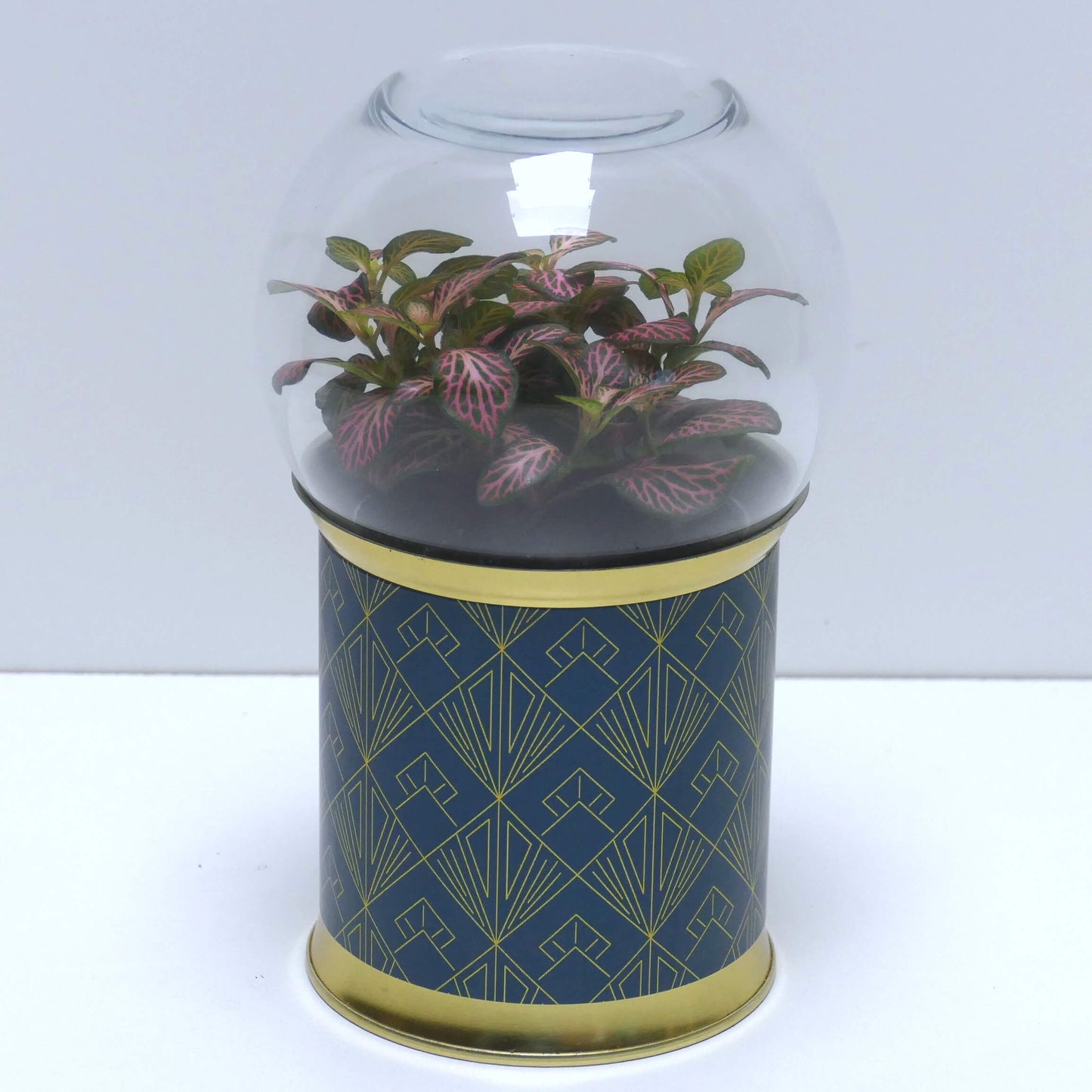 Terrarium art déco vert foncé