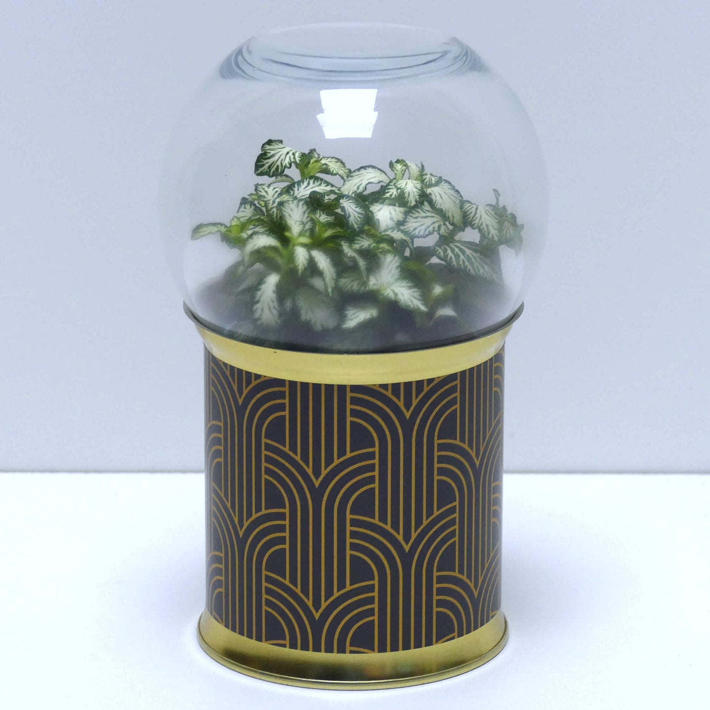 Terrarium art déco noir et doré 2