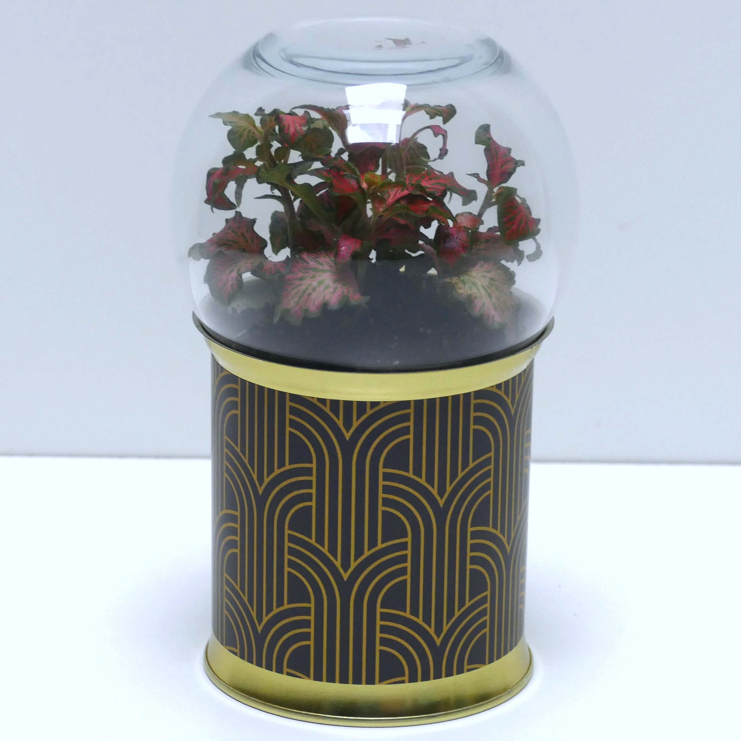 Terrarium art déco noir et doré 2