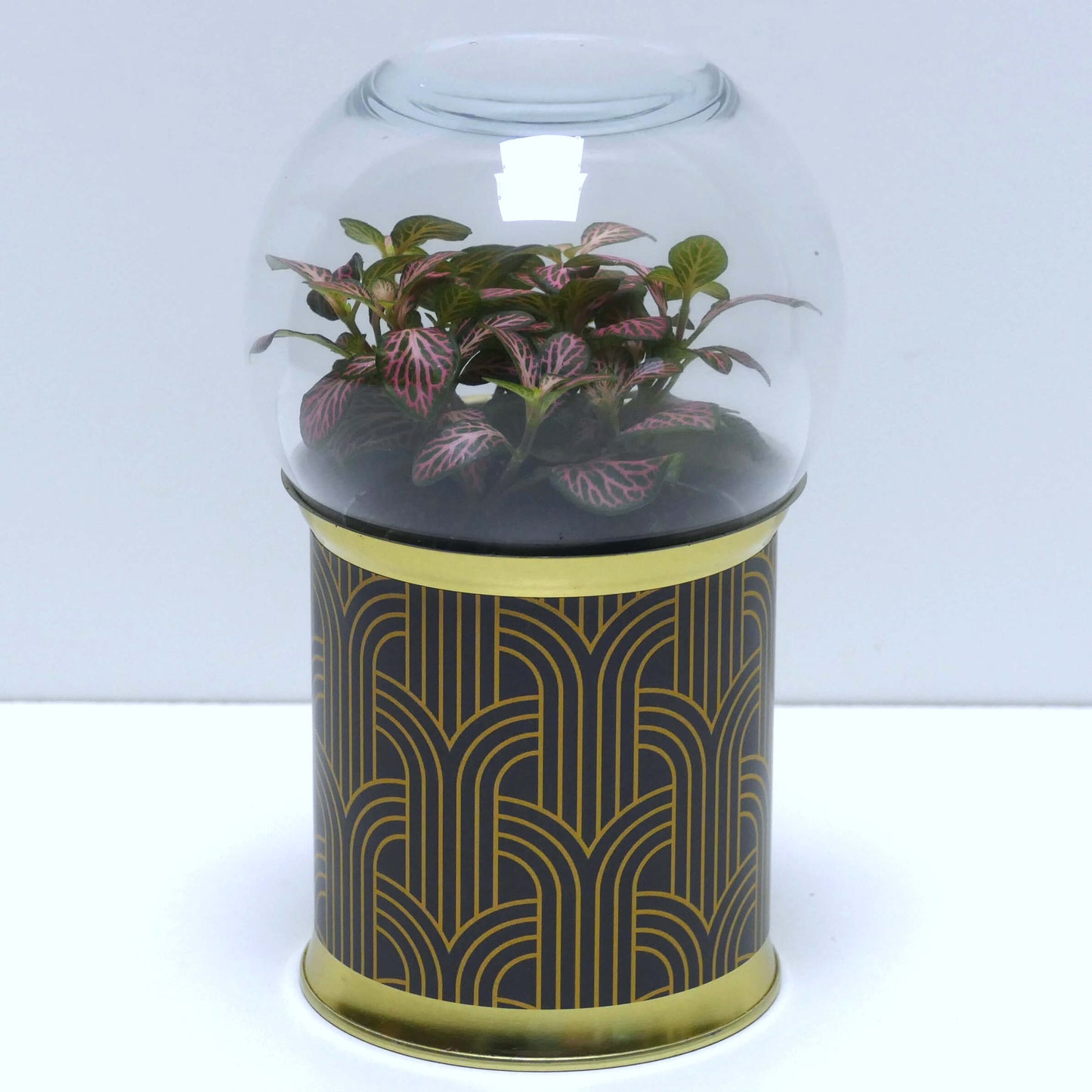 Terrarium art déco noir et doré 2