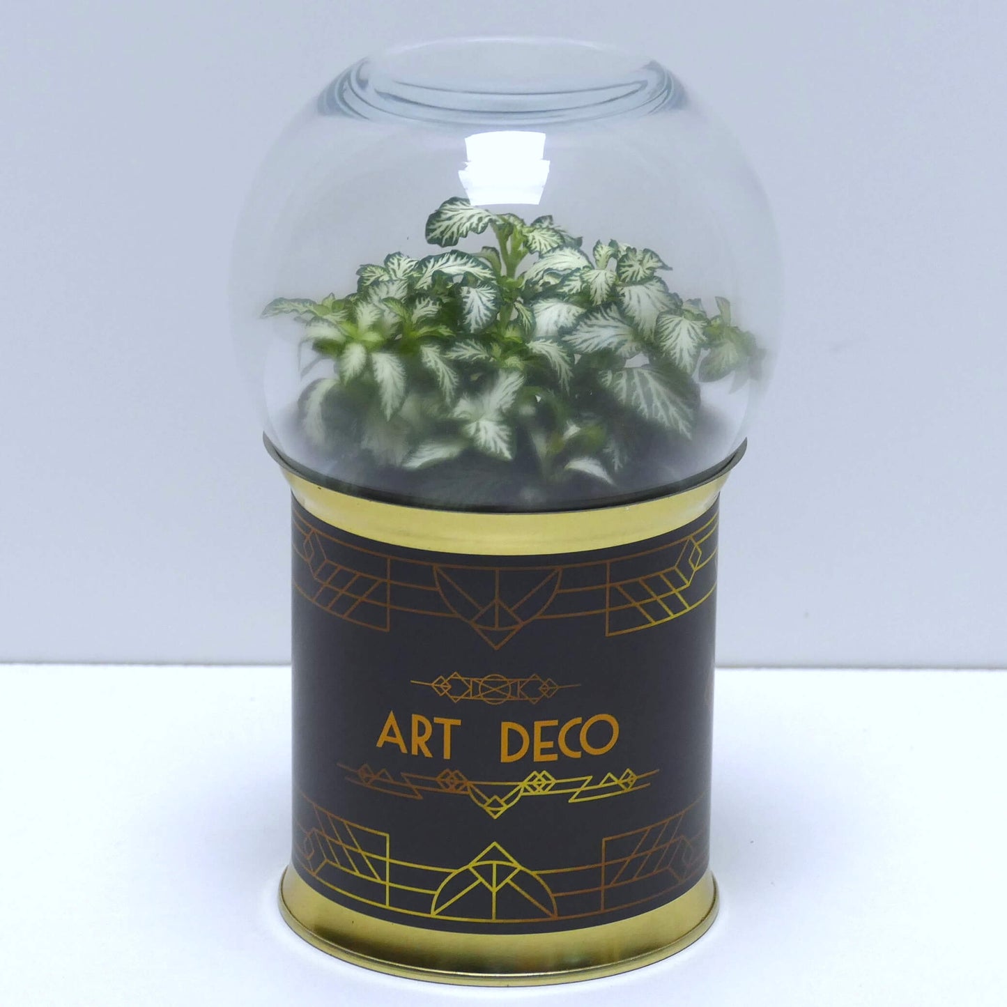 Terrarium art déco noir et doré 4