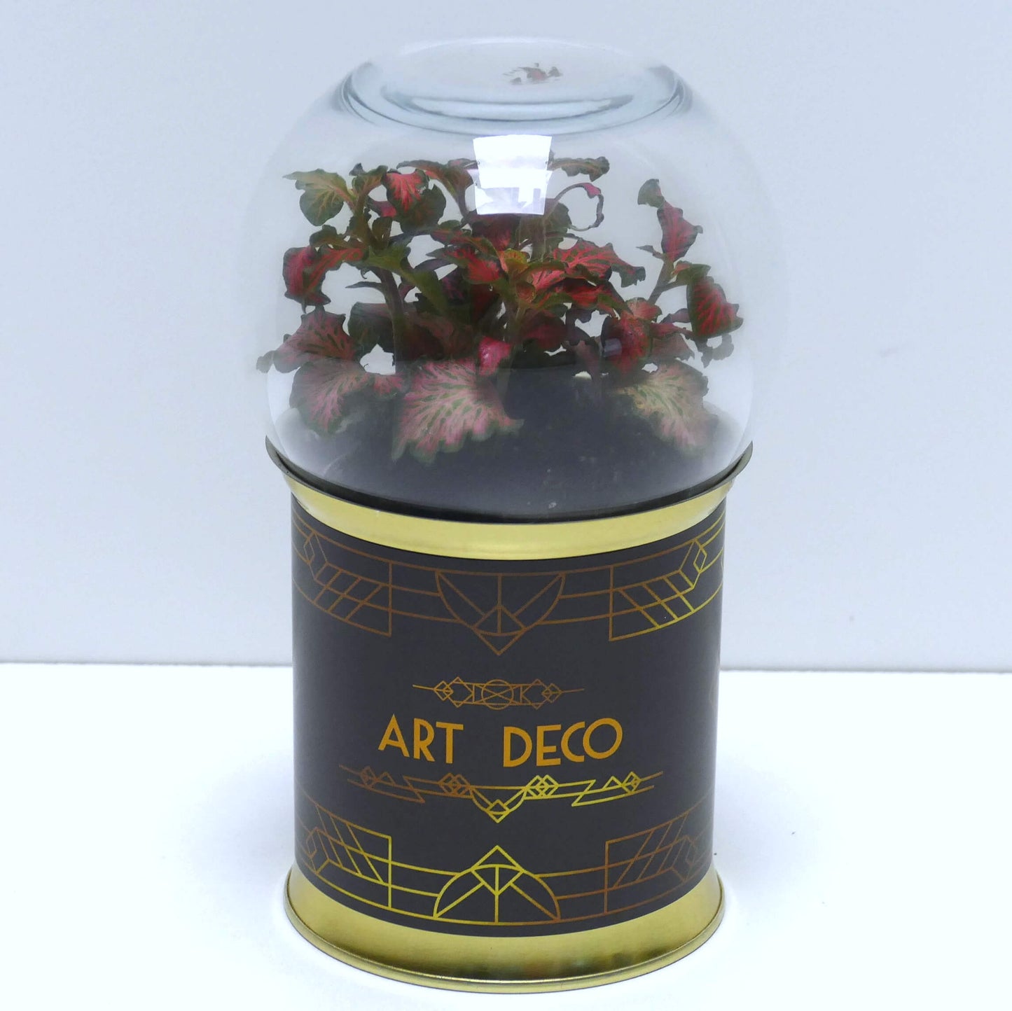 Terrarium art déco noir et doré 4