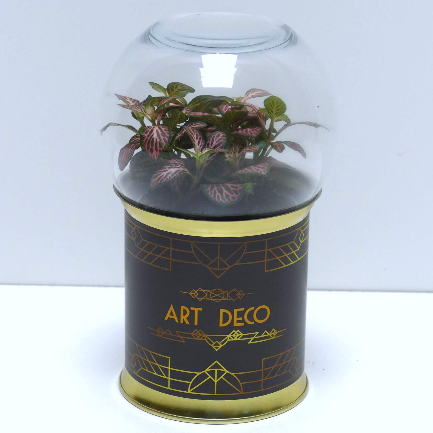 Terrarium art déco noir et doré 4