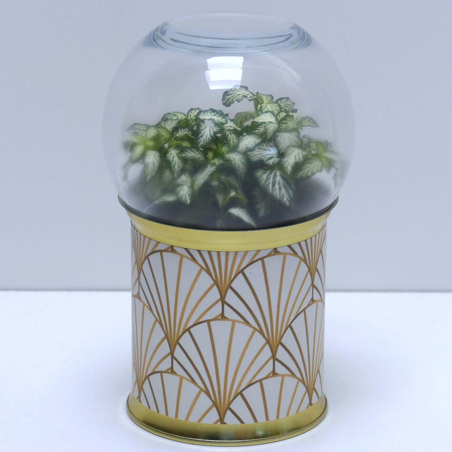Terrarium art déco blanc et doré