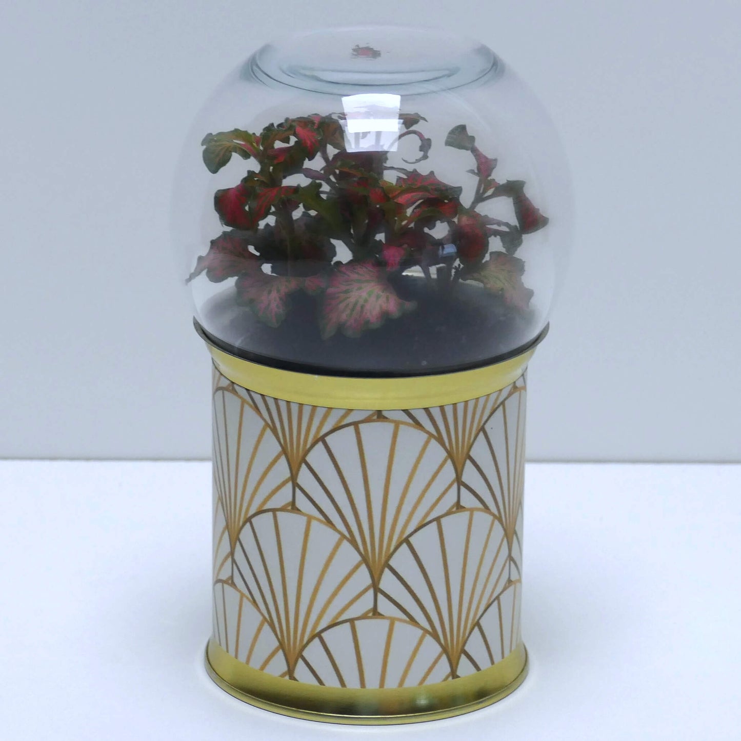 Terrarium art déco blanc et doré