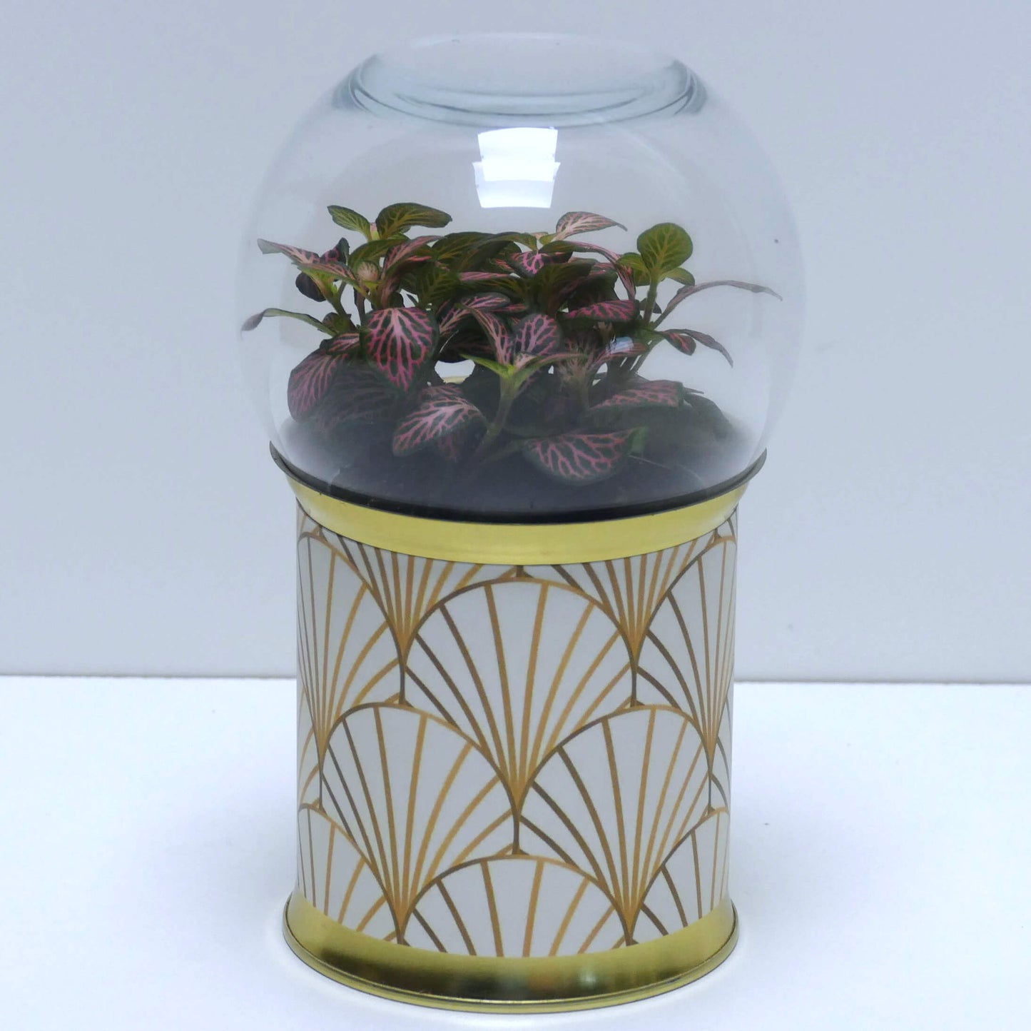 Terrarium art déco blanc et doré