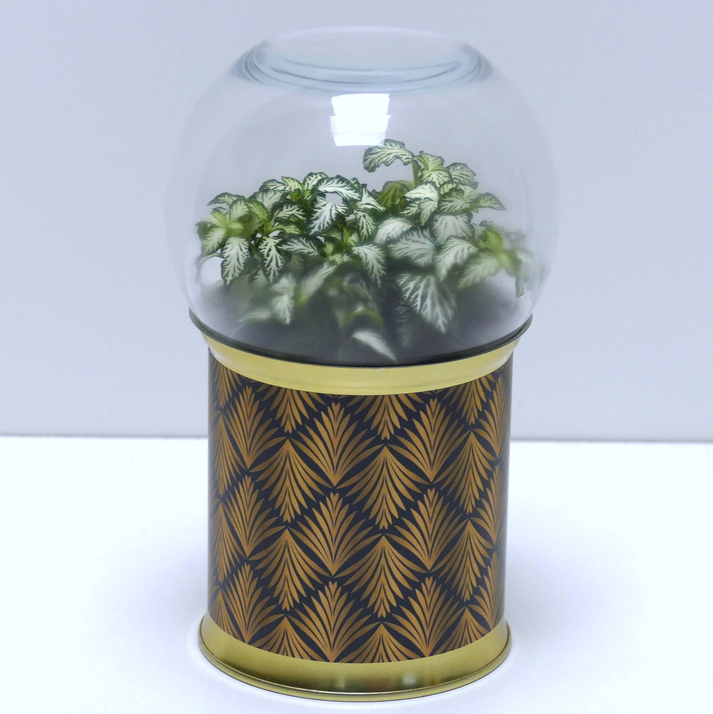 Terrarium graphismes noirs et dorés