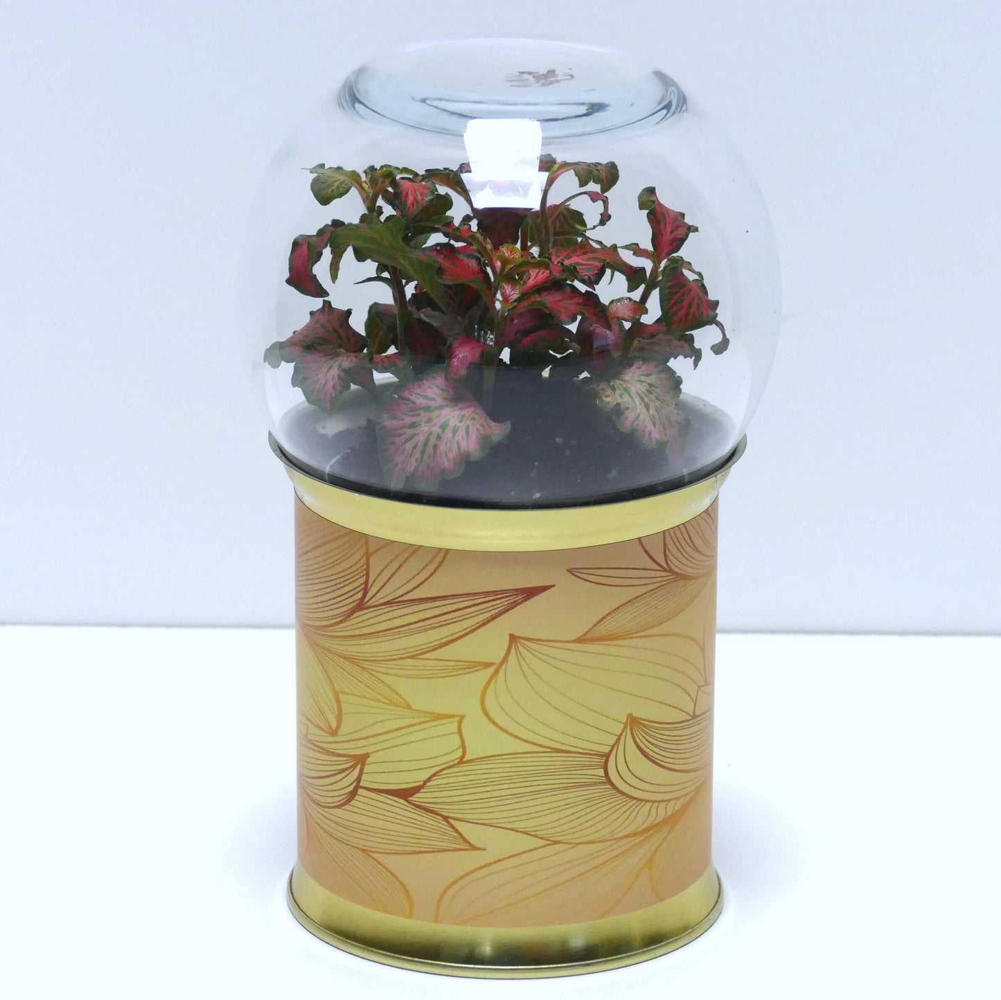 Terrarium graphismes feuilles dorées