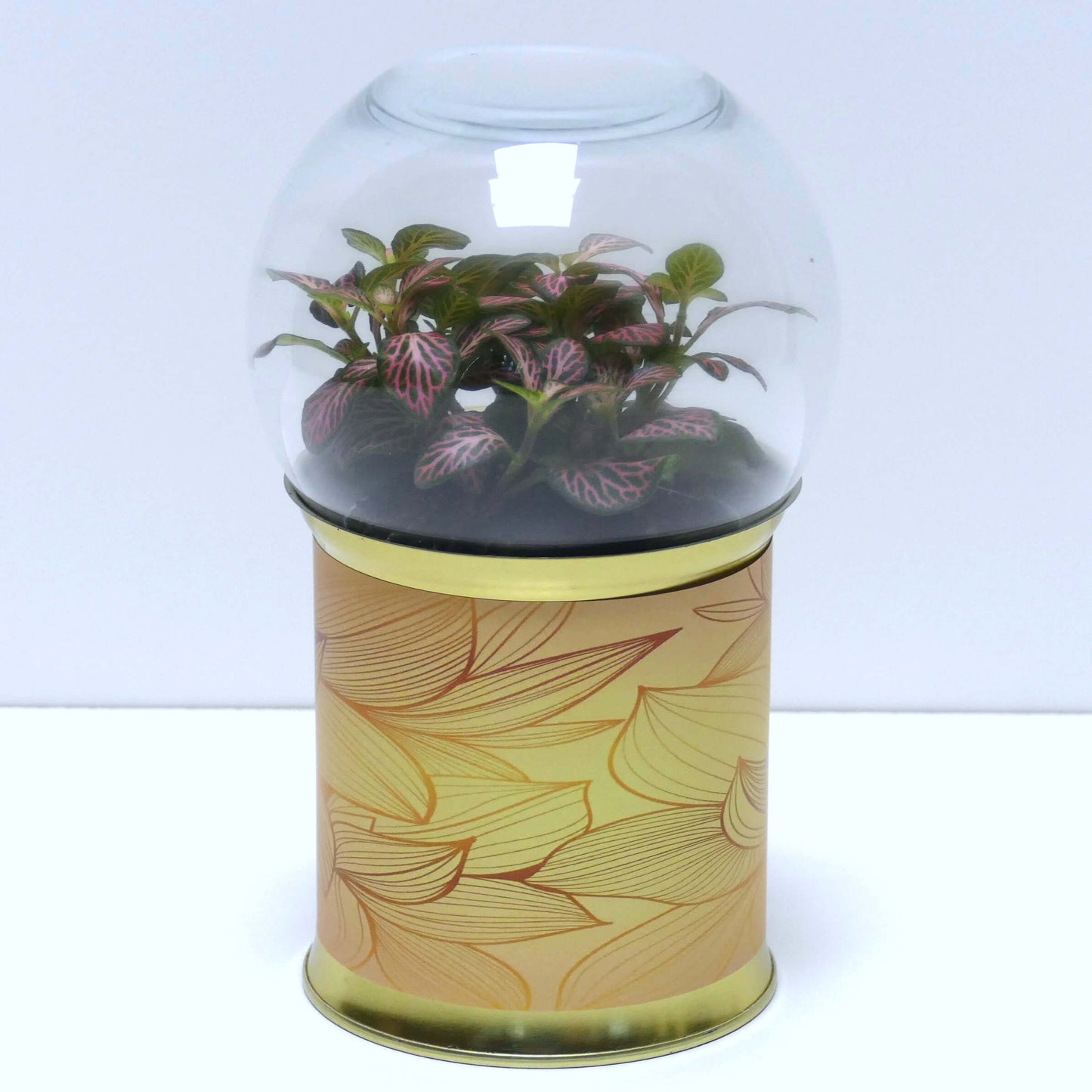 Terrarium graphismes feuilles dorées