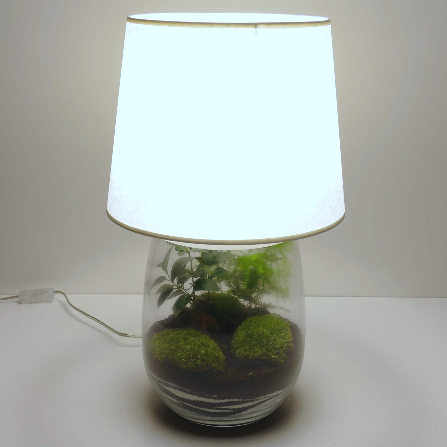 Lampe terrarium vase allongé L