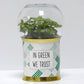 Pack "C" de 12 terrariums