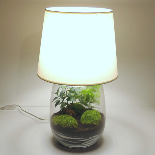 Pack 2 lampes terrariums vase allongé L