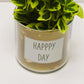Pot Happy day et sa plante