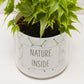 Pot Nature inside et sa plante