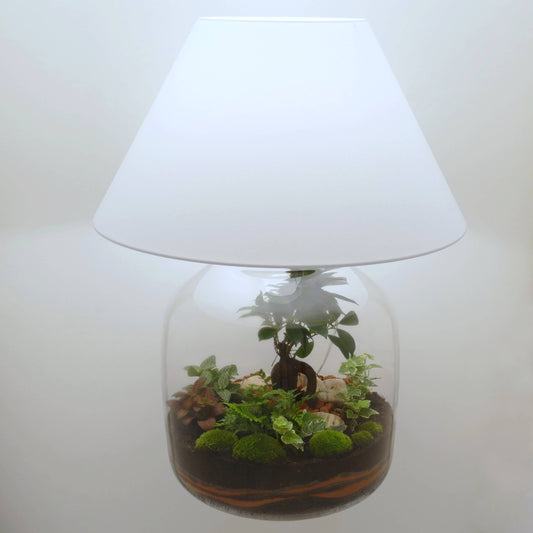 Lampe terrarium vase bonbonne XXL
