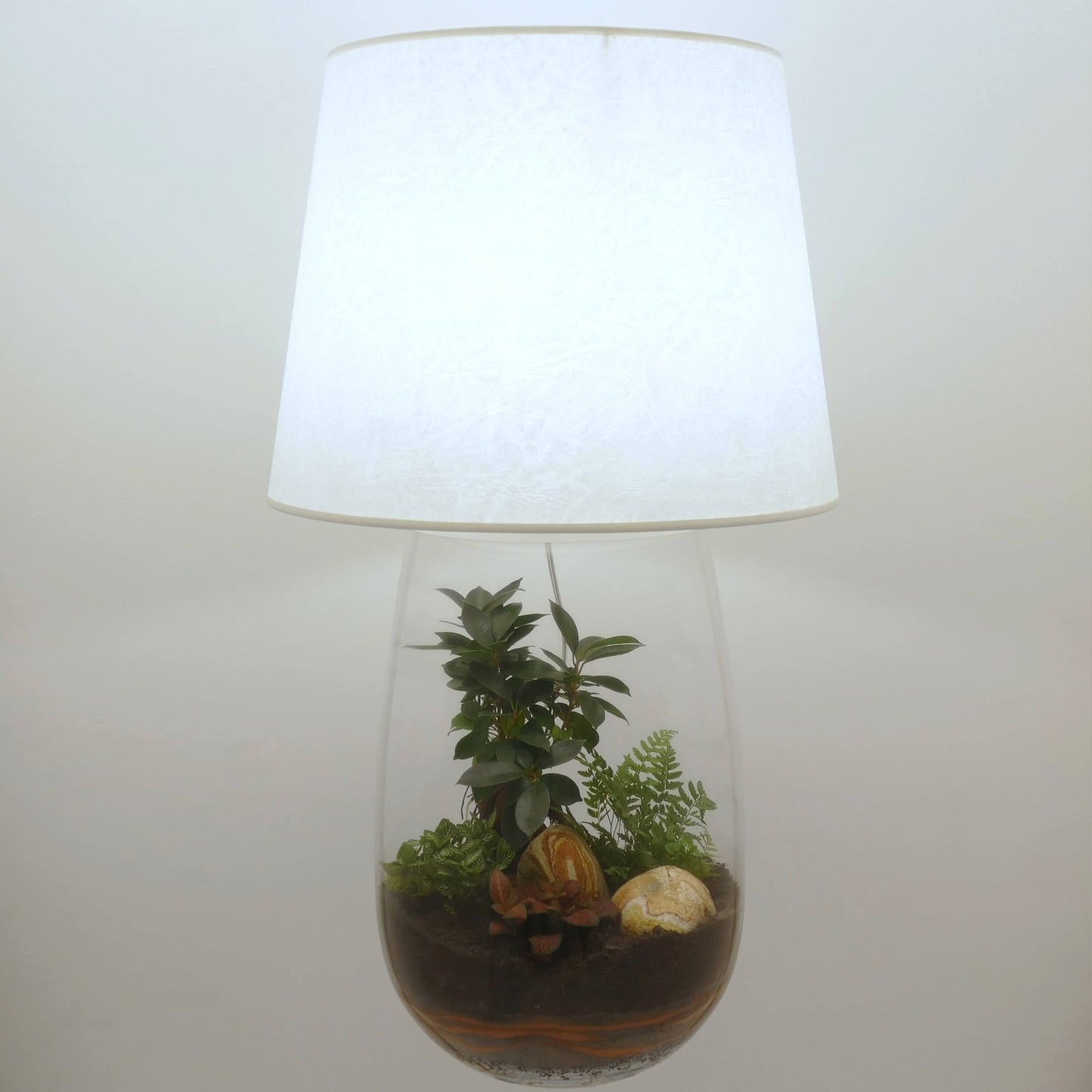 Lampe terrarium vase allongé XXL