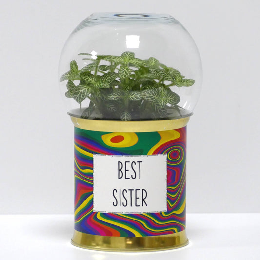 Terrarium Best sister