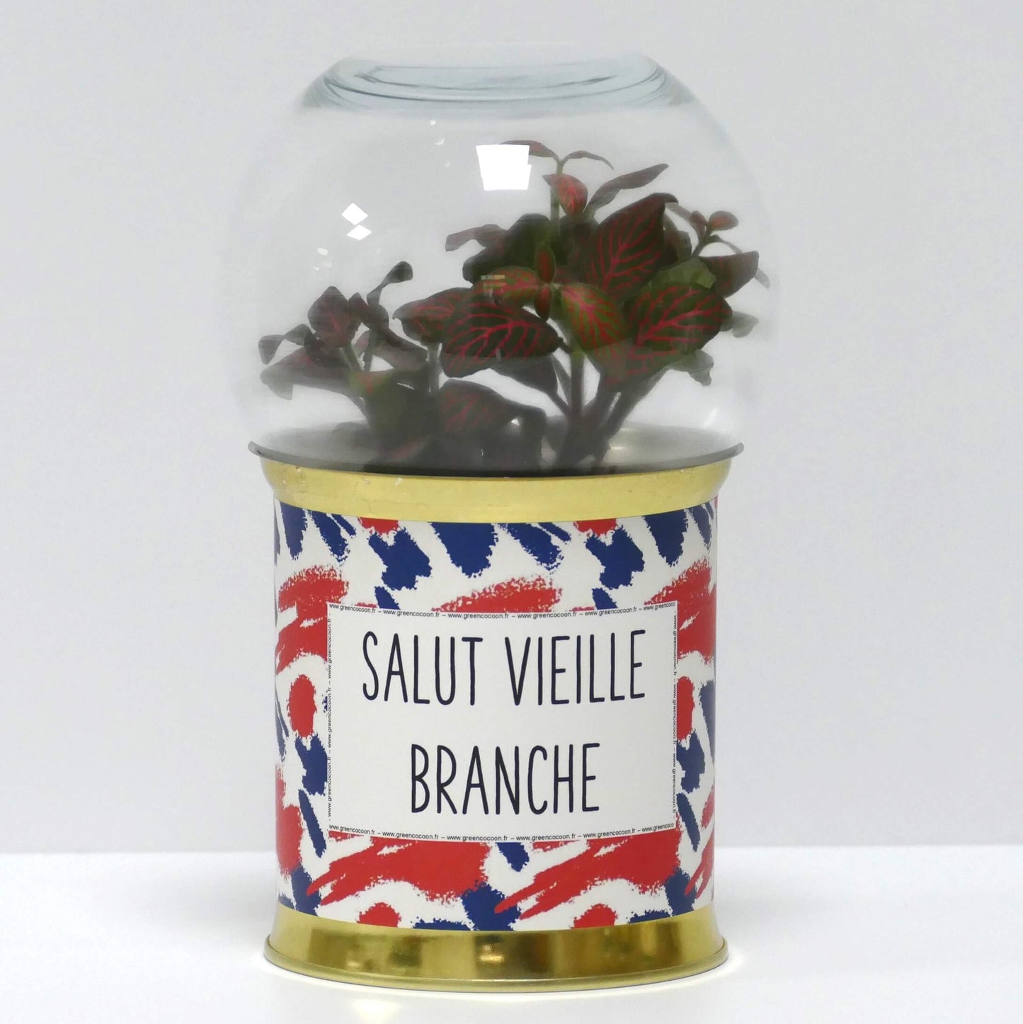 Terrarium Salut vieille branche