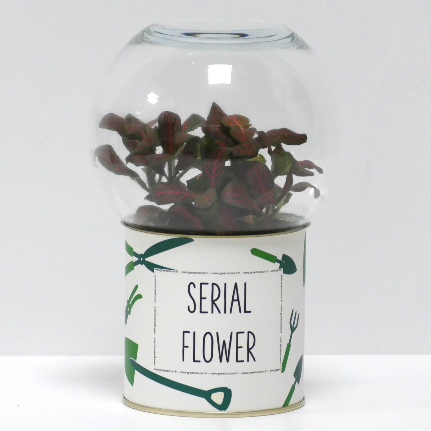 Terrarium Serial flower
