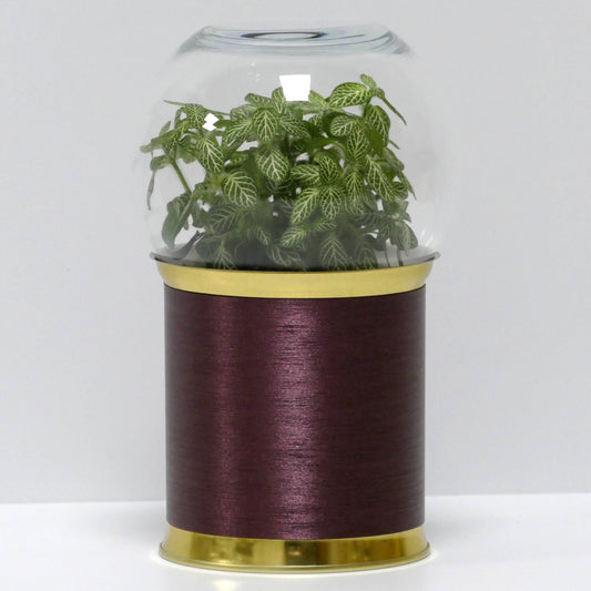 Terrarium cuivre brossé