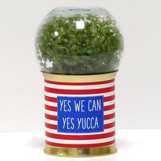 Terrarium Yes we can yes yucca