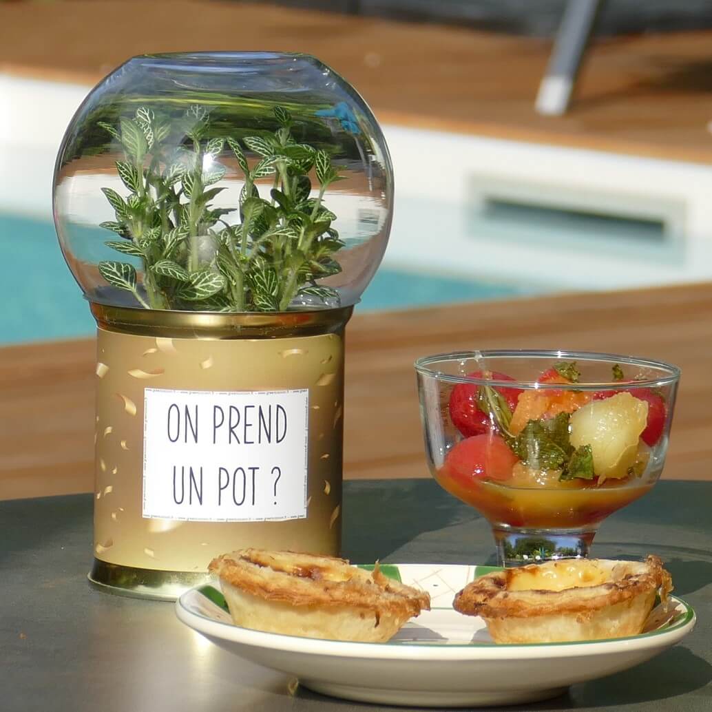 Terrarium On prend un pot ?